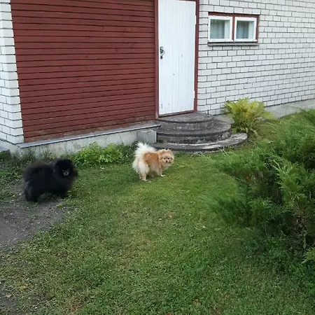 Prázdninový dům Lepa 6